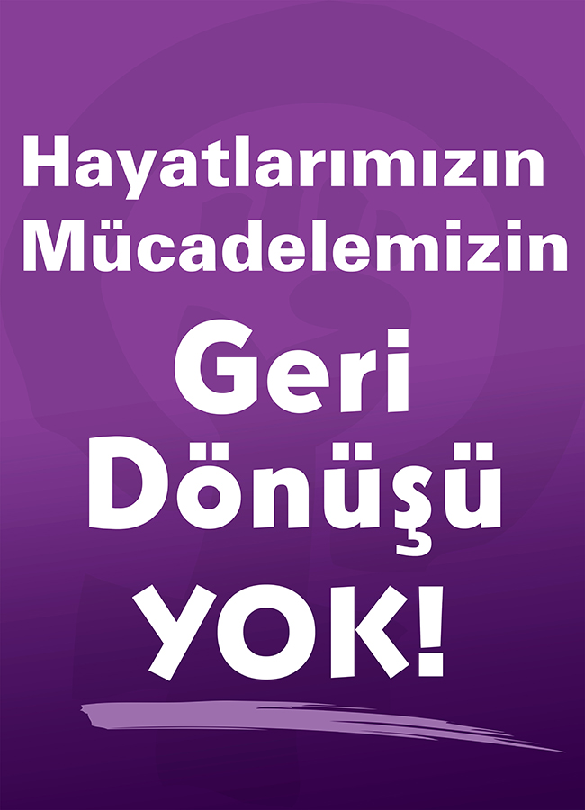 8 Mart Feminist Gece Yürüyüşü / 2016 / Fotobloklar
