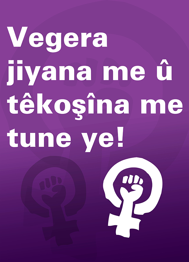 8 Mart Feminist Gece Yürüyüşü / 2016 / Fotobloklar