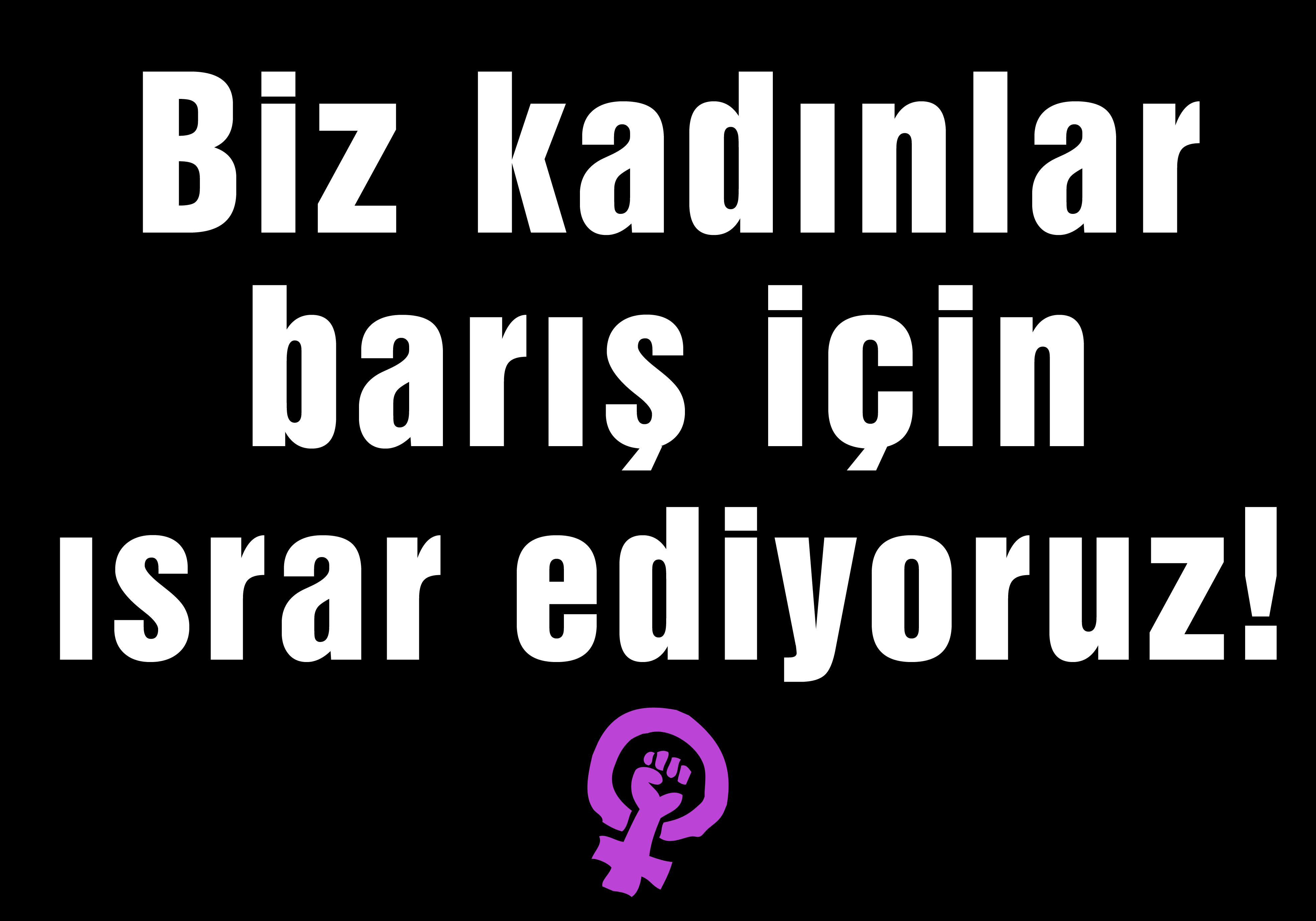 8 Mart Feminist Gece Yürüyüşü / 2016 / Fotobloklar