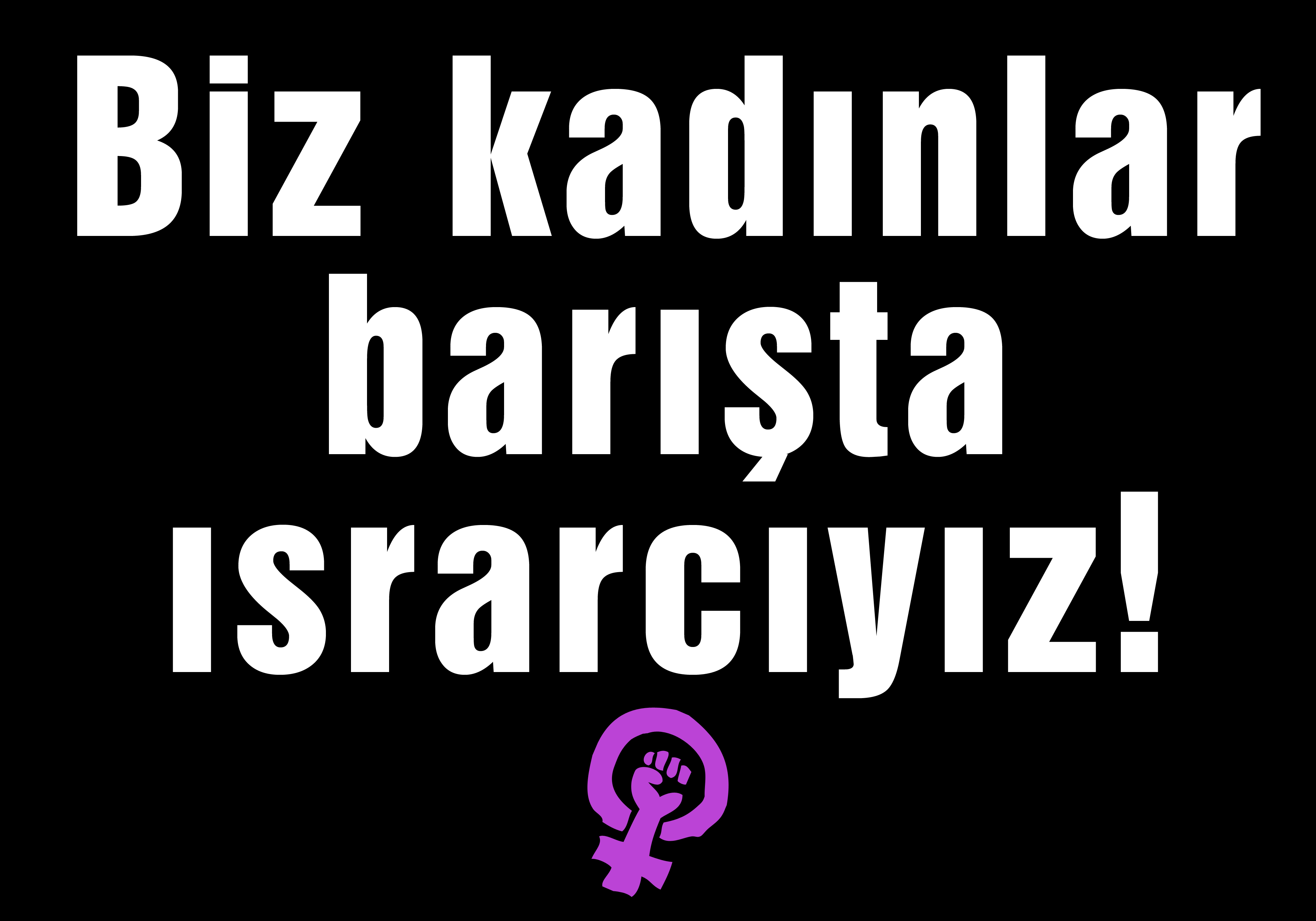 8 Mart Feminist Gece Yürüyüşü / 2016 / Fotobloklar