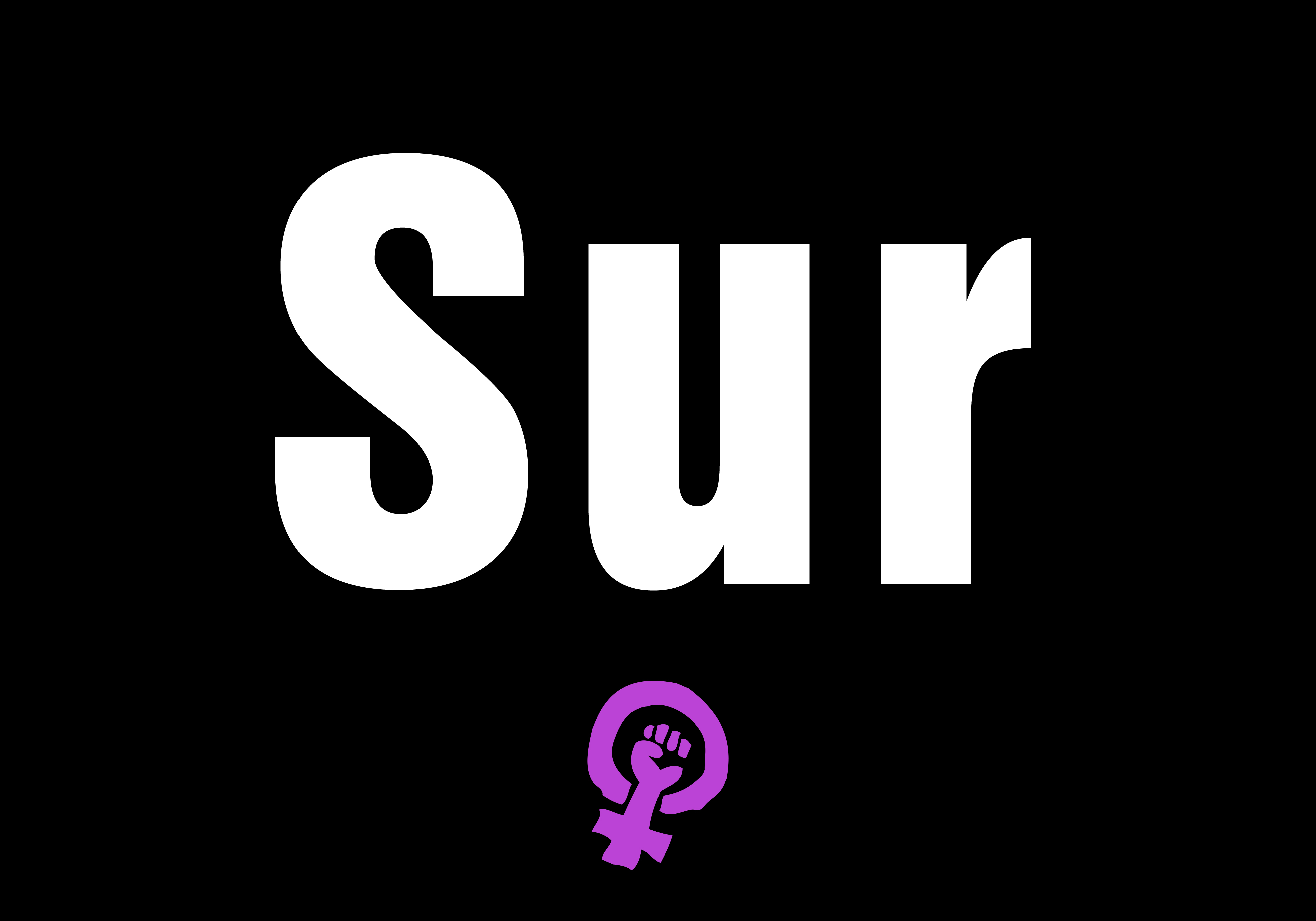 8 Mart Feminist Gece Yürüyüşü / 2016 / Fotobloklar