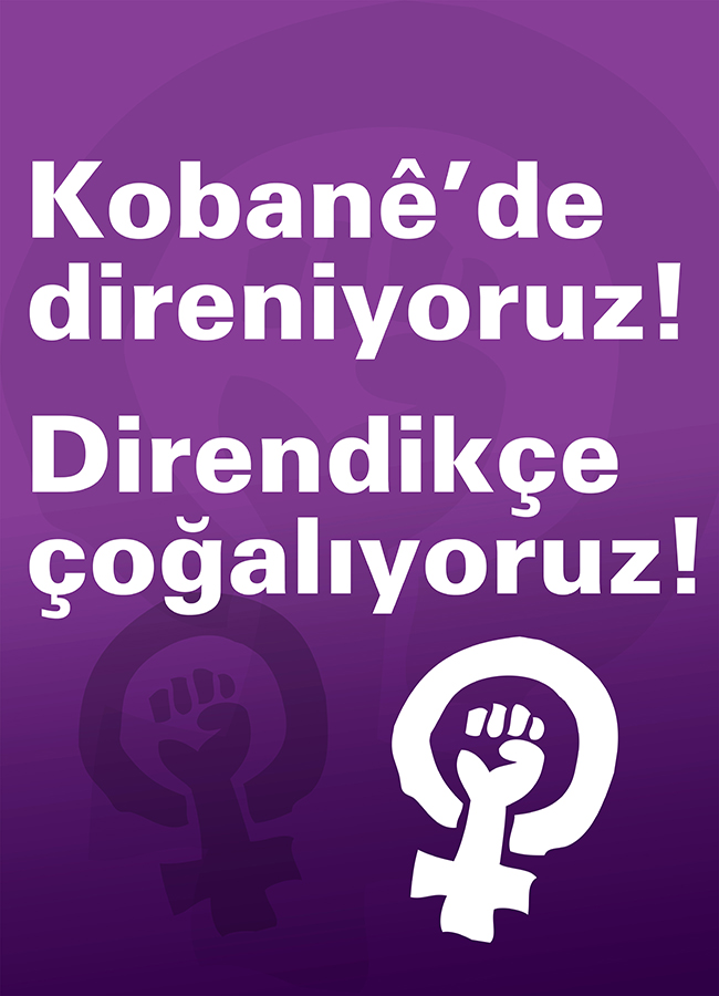 8 Mart Feminist Gece Yürüyüşü / 2016 / Fotobloklar