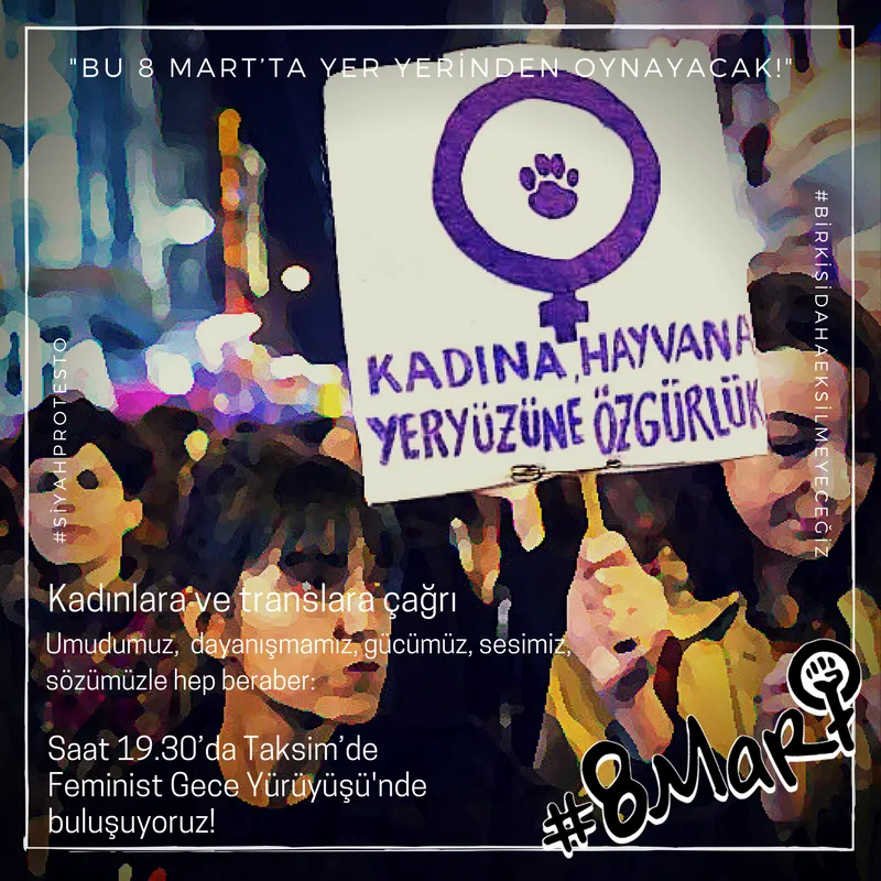 8 Mart Feminist Gece Yürüyüşü / 2017 / Eylem çağrı görseli
