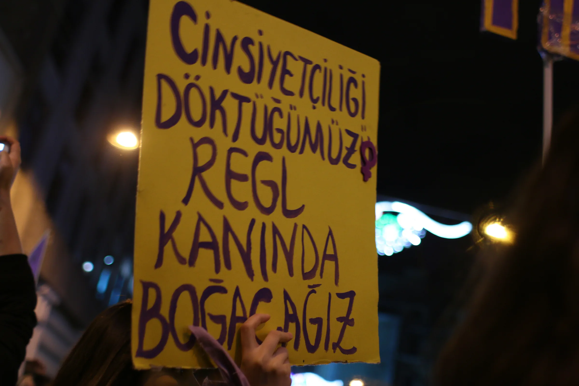 8 Mart Feminist Gece Yürüyüşü / 2017 / Foto: Switla İlchenko