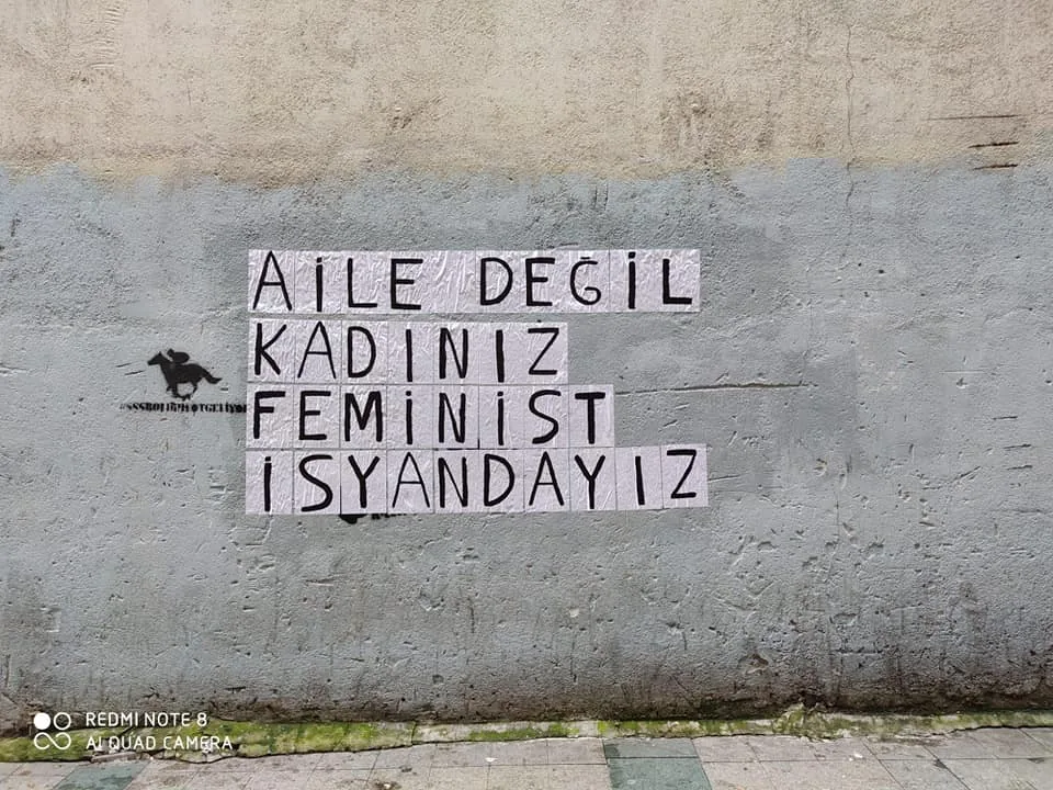 March 8 Feminist Night March / 2020 / Fransız yazılaması